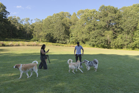 20250826_Thisbe and Dog park__DSC0200_.jpg