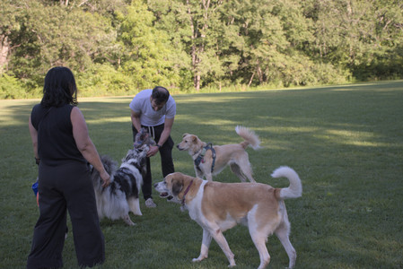 20250826_Thisbe and Dog park__DSC0202_.jpg