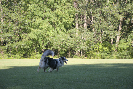 20250826_Thisbe and Dog park__DSC0212_.jpg