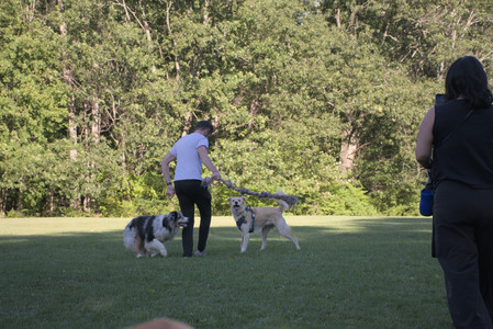 20250826_Thisbe and Dog park__DSC0216_.jpg