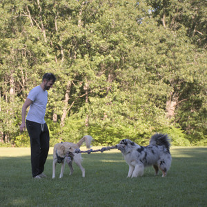 20250826_Thisbe and Dog park__DSC0220_.jpg