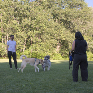 20250826_Thisbe and Dog park__DSC0223_.jpg