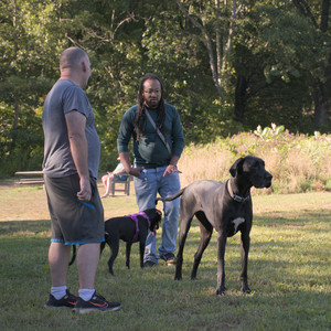 20250826_Thisbe and Dog park__DSC0224_.jpg