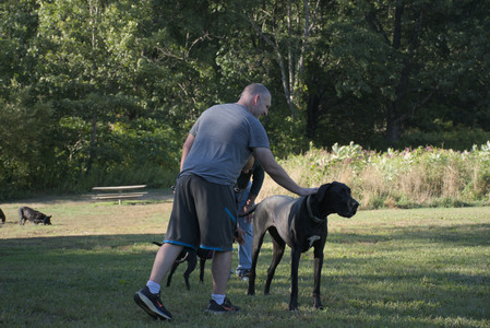 20250826_Thisbe and Dog park__DSC0225_.jpg