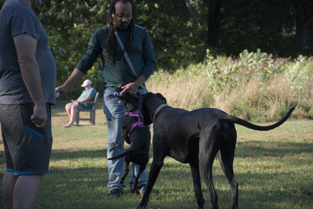 20250826_Thisbe and Dog park__DSC0228_.jpg