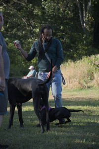 20250826_Thisbe and Dog park__DSC0229_.jpg