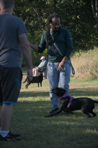 20250826_Thisbe and Dog park__DSC0230_.jpg