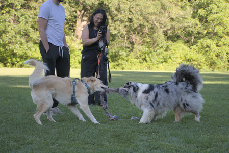 20250826_Thisbe and Dog park__DSC0236_.jpg