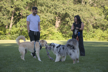 20250826_Thisbe and Dog park__DSC0237_.jpg