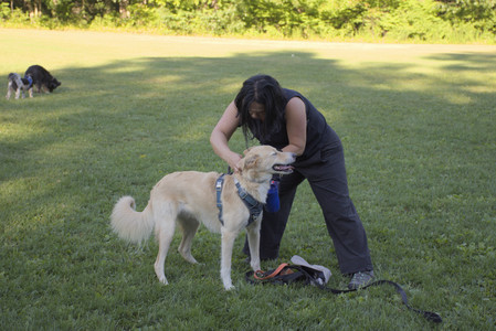 20250826_Thisbe and Dog park__DSC0269_.jpg