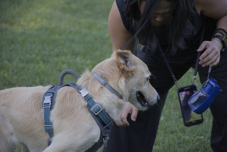 20250826_Thisbe and Dog park__DSC0271_.jpg