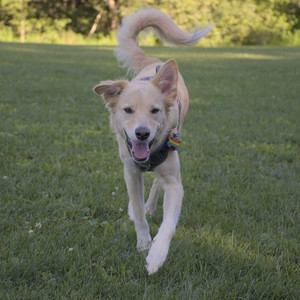 20250826_Thisbe and Dog park__DSC0274_.jpg