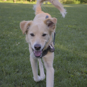 20250826_Thisbe and Dog park__DSC0276_.jpg