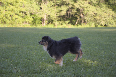 20250826_Thisbe and Dog park__DSC0281_.jpg