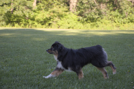 20250826_Thisbe and Dog park__DSC0283_.jpg