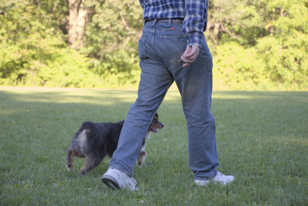 20250826_Thisbe and Dog park__DSC0284_.jpg