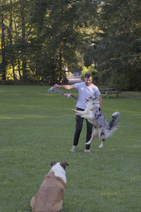 20250826_Thisbe and Dog park__DSC0301_.jpg