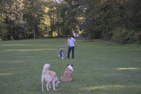 20250826_Thisbe and Dog park__DSC0303_.jpg