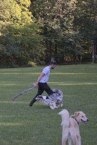 20250826_Thisbe and Dog park__DSC0306_.jpg