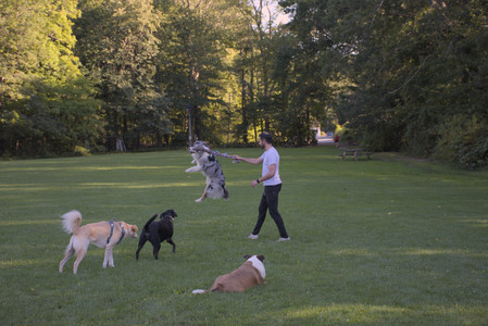 20250826_Thisbe and Dog park__DSC0309_.jpg