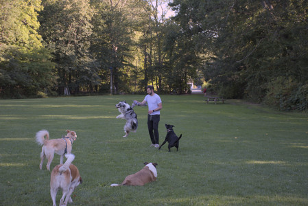 20250826_Thisbe and Dog park__DSC0311_.jpg