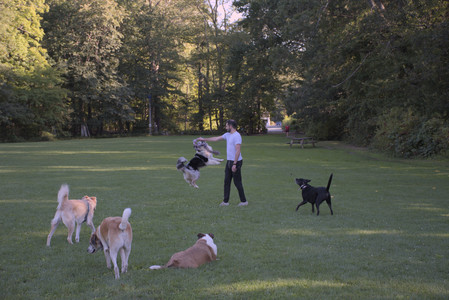 20250826_Thisbe and Dog park__DSC0312_.jpg