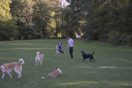 20250826_Thisbe and Dog park__DSC0313_.jpg
