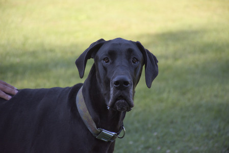 20250826_Thisbe and Dog park__DSC0318_.jpg