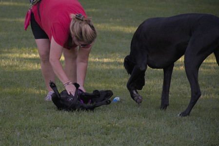 20250826_Thisbe and Dog park__DSC0324_.jpg