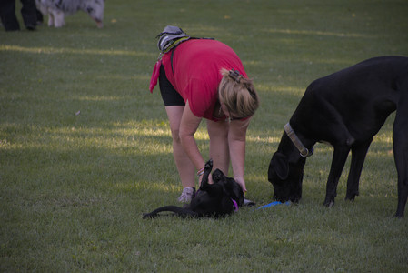 20250826_Thisbe and Dog park__DSC0325_.jpg