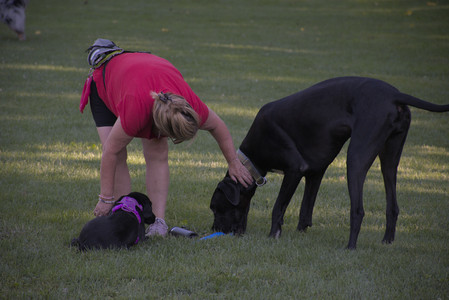 20250826_Thisbe and Dog park__DSC0326_.jpg
