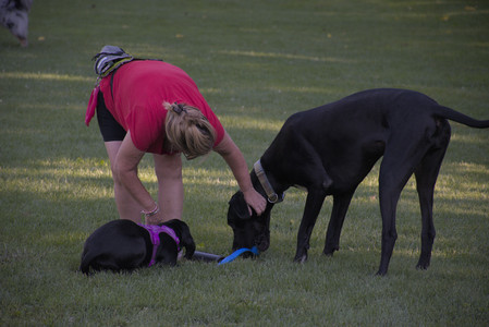 20250826_Thisbe and Dog park__DSC0327_.jpg