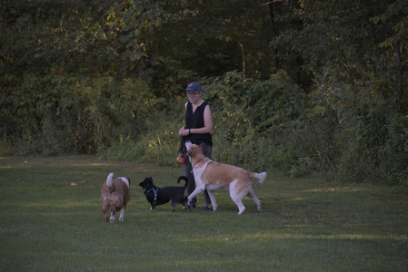 20250826_Thisbe and Dog park__DSC0333_.jpg