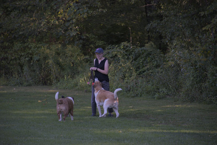 20250826_Thisbe and Dog park__DSC0334_.jpg