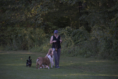 20250826_Thisbe and Dog park__DSC0335_.jpg