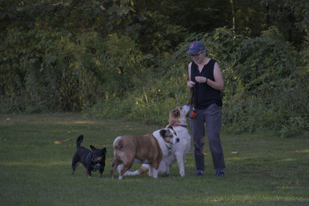 20250826_Thisbe and Dog park__DSC0336_.jpg