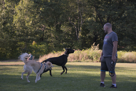 20250826_Thisbe and Dog park__DSC0341_.jpg