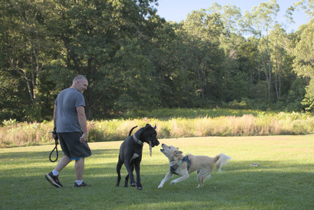 20250826_Thisbe and Dog park__DSC0344_.jpg