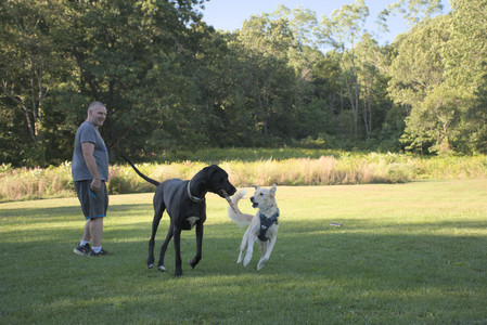 20250826_Thisbe and Dog park__DSC0345_.jpg