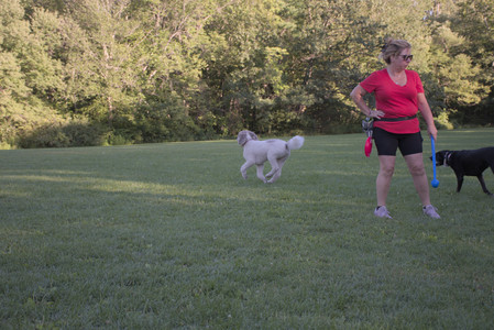 20250826_Thisbe and Dog park__DSC0371_.jpg