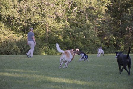 20250826_Thisbe and Dog park__DSC0373_.jpg