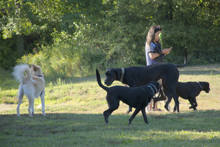 20250826_Thisbe and Dog park__DSC0398_.jpg