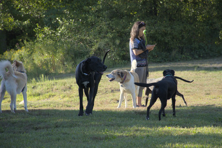 20250826_Thisbe and Dog park__DSC0399_.jpg