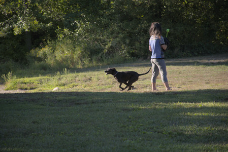 20250826_Thisbe and Dog park__DSC0401_.jpg