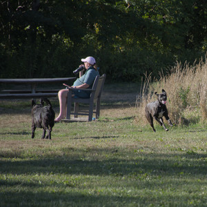 20250826_Thisbe and Dog park__DSC0406_.jpg