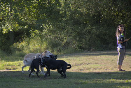 20250826_Thisbe and Dog park__DSC0409_.jpg