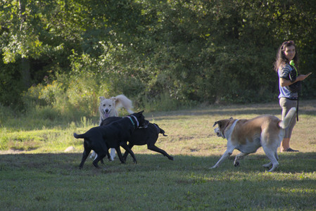 20250826_Thisbe and Dog park__DSC0411_.jpg