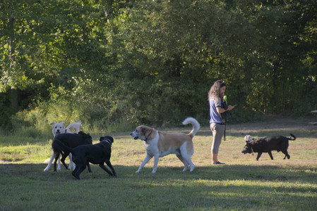 20250826_Thisbe and Dog park__DSC0412_.jpg