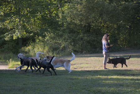 20250826_Thisbe and Dog park__DSC0413_.jpg