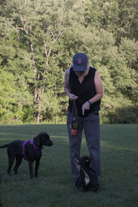 20250826_Thisbe and Dog park__DSC0420_.jpg